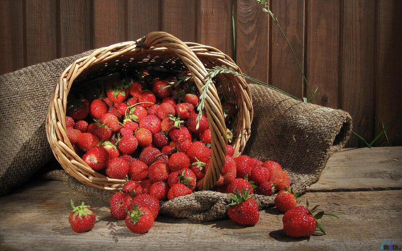 Strawberries in a Basket — Red, Natural