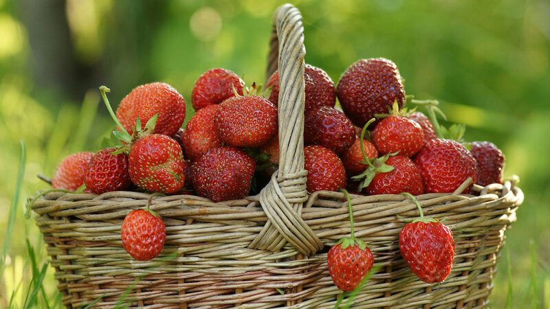 Strawberries in a Basket — Red, Serene