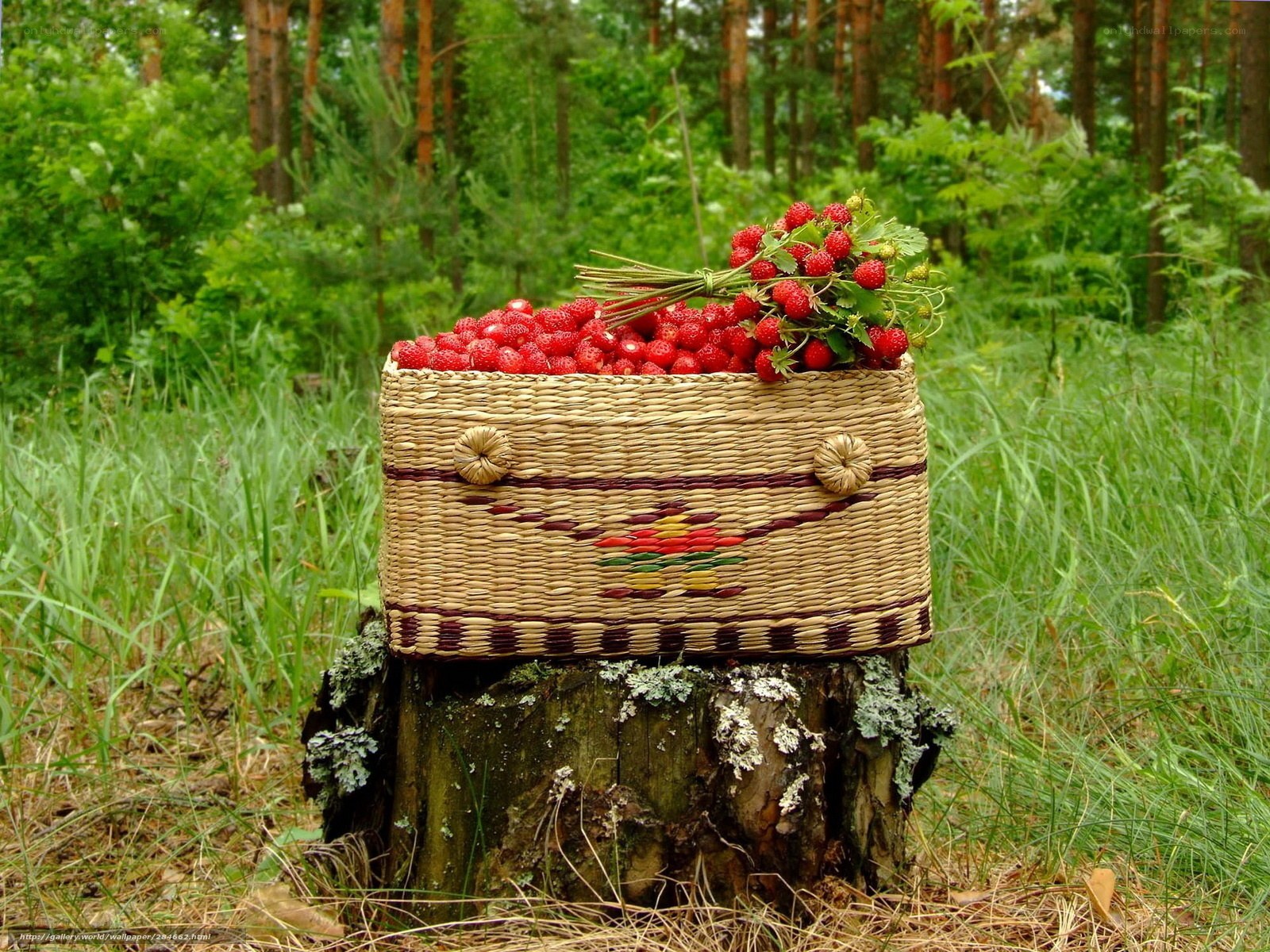 Strawberries in a basket