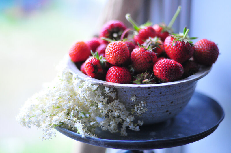 Strawberries in a Bowl — Red, Serene, Morning, Photograph