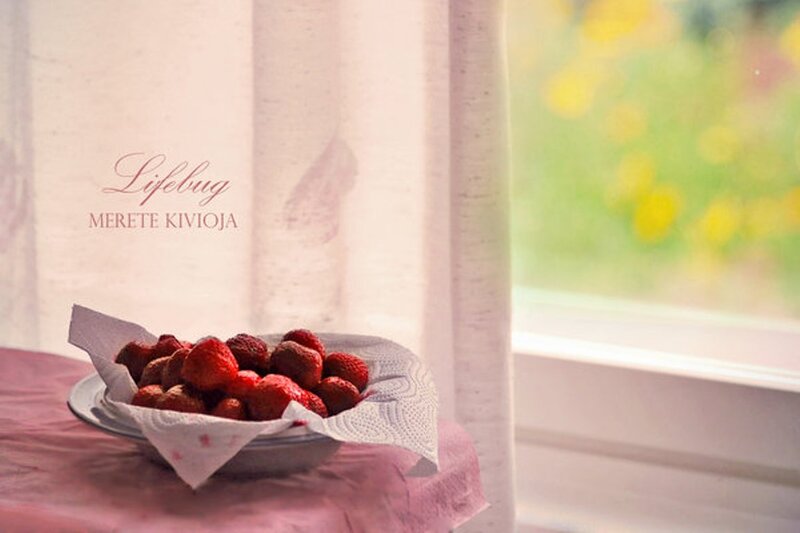 Strawberries in a Bowl — Red, Serene