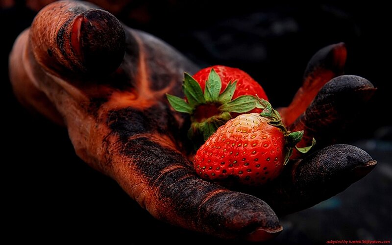 strawberries in a burnt hand