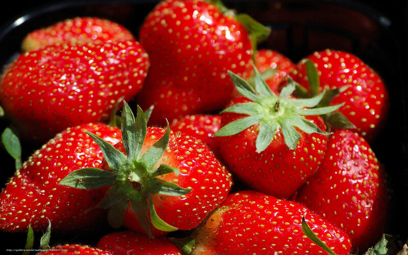 Strawberries in a Container — Red, Natural