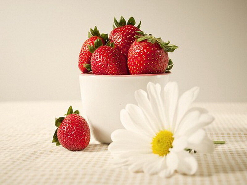 Strawberries in a Cup — White