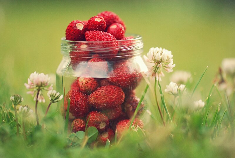 Strawberries in a Jar — Green
