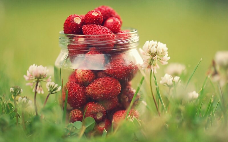 Strawberries in a jar on grass