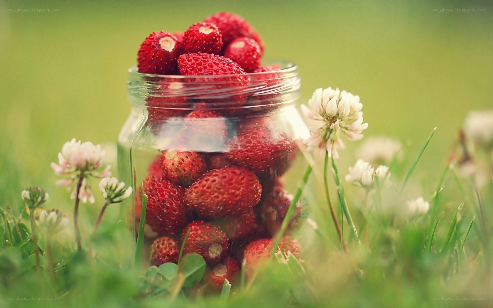 Strawberries in a jar on grass