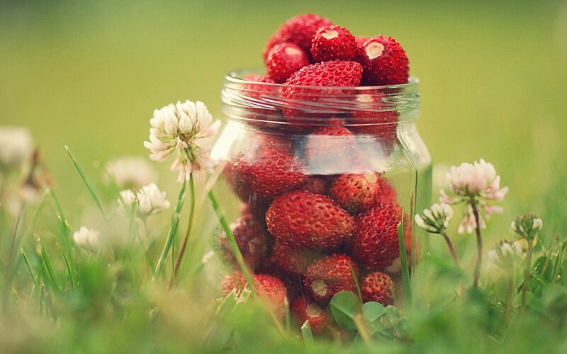 Strawberries in a jar on grass