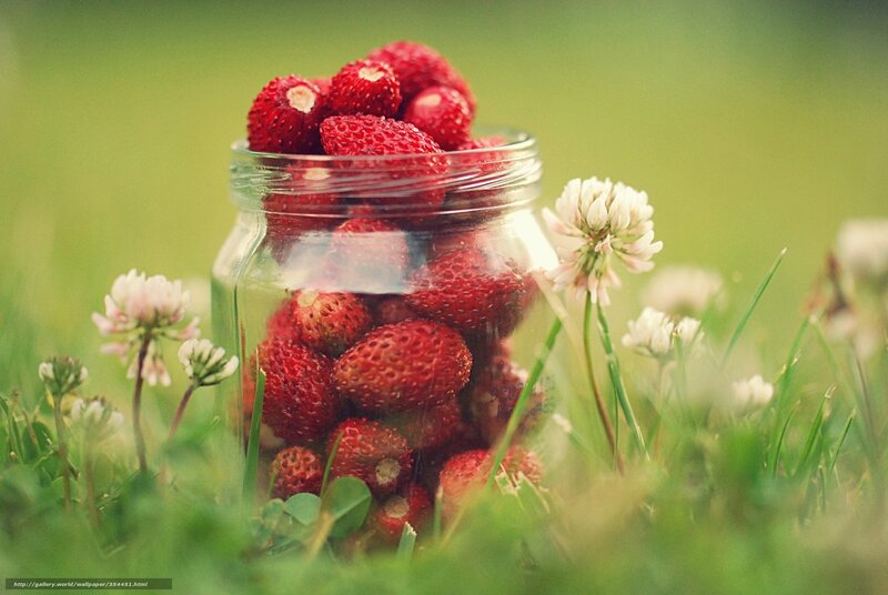 Strawberries in a jar on grass