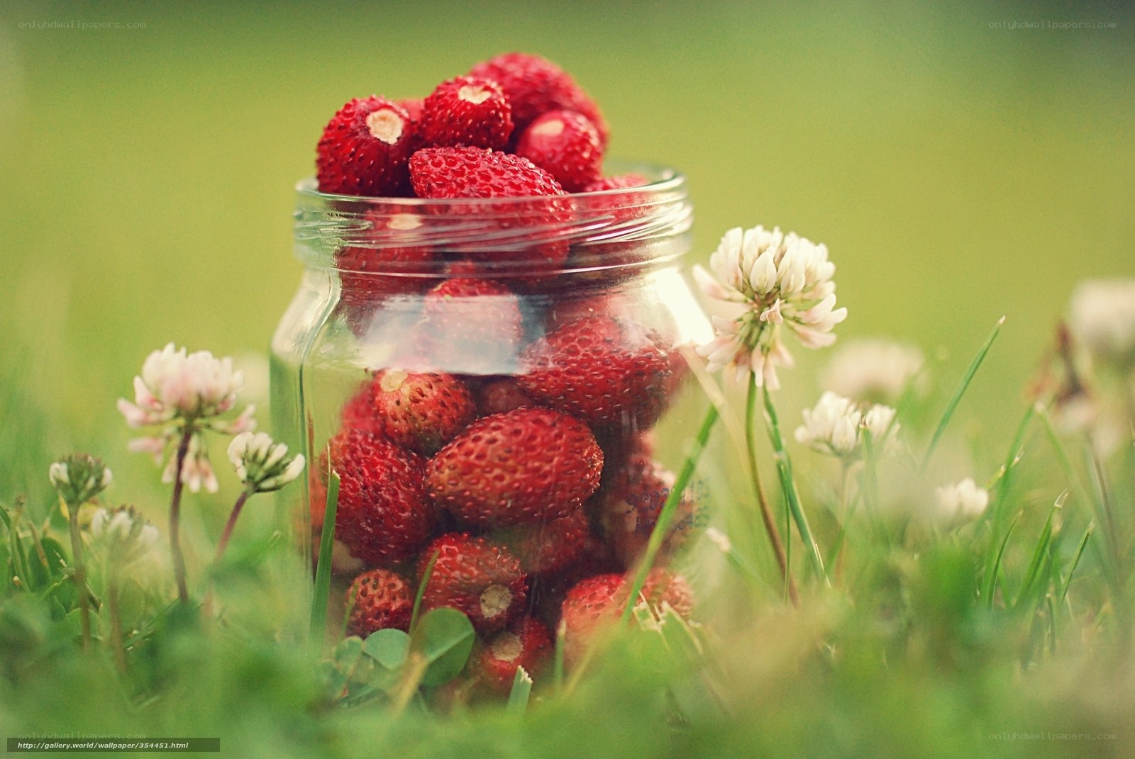 Strawberries in a jar on grass