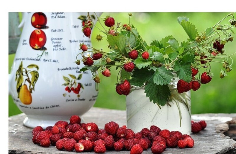 Strawberries in a Vase