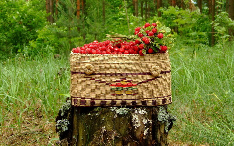 Strawberries in a woven basket