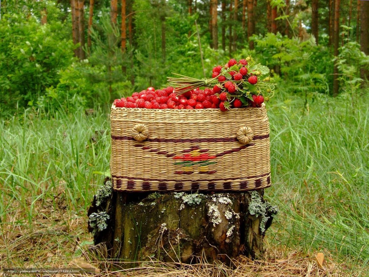 Strawberries in a woven basket