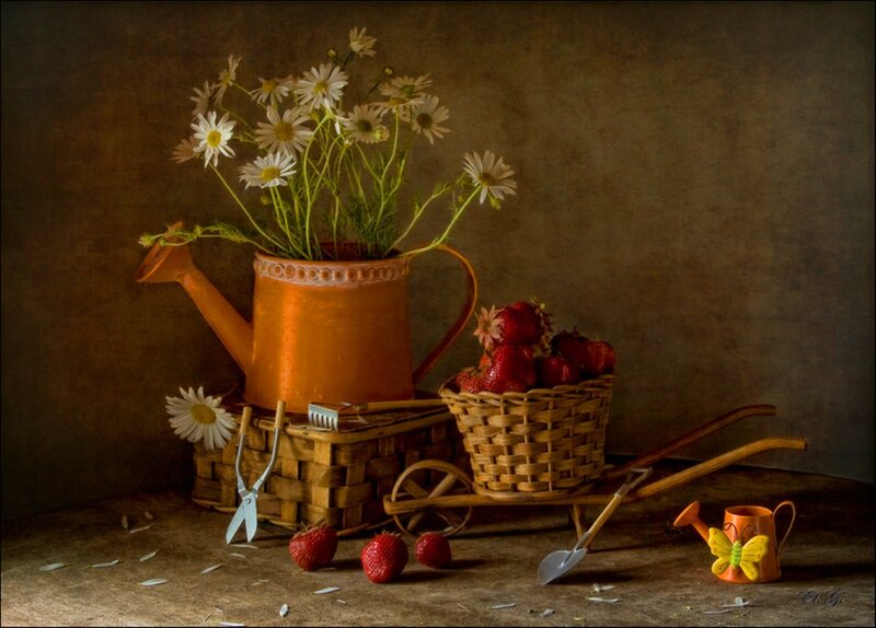 Strawberries in Basket — Brown