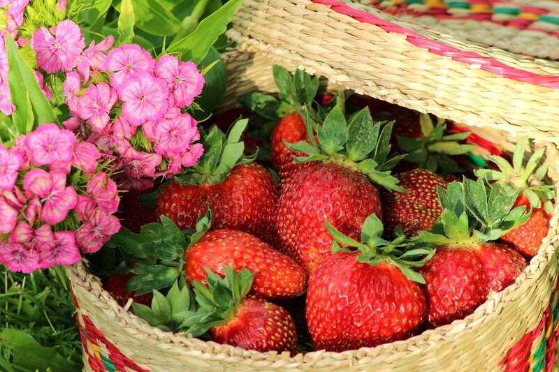 Strawberries in Basket — Red, Fresh, Summer