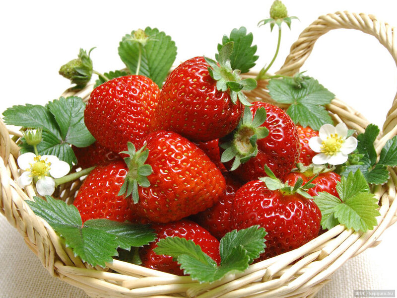 Strawberries in Basket — Red, Fresh