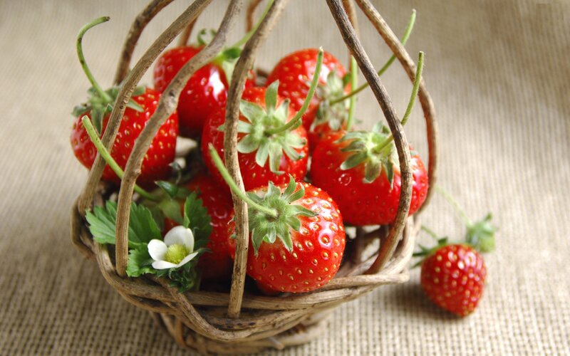Strawberries in Basket — Red, Natural, Photograph, Flower, Fabric