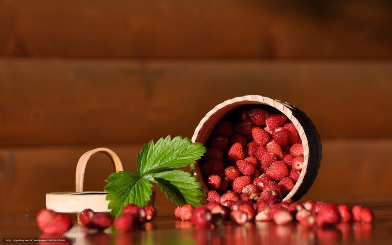 Strawberries in Basket — Red, Natural, Photograph, Leaves
