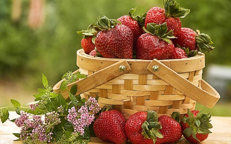 Strawberries in Basket — Red, Natural, Summer, Photograph, Flowers