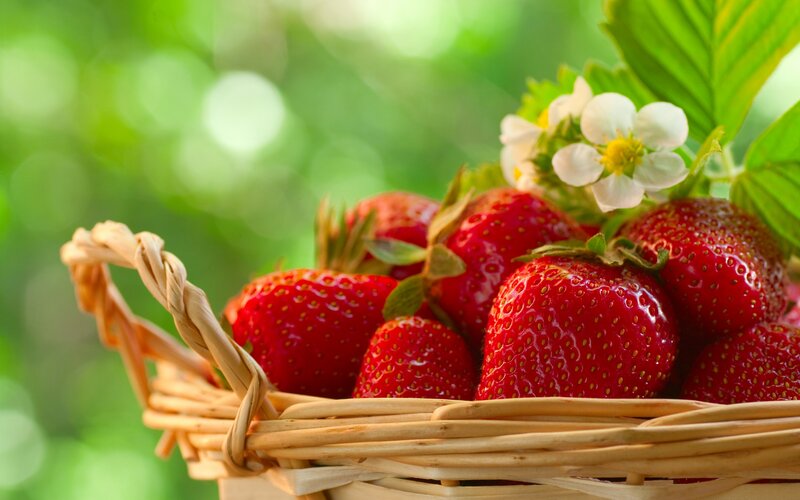 Strawberries in Basket — Red, Natural, Summer