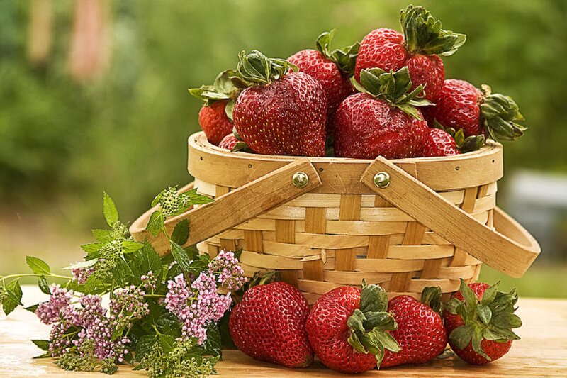 Strawberries in Basket — Red, Natural