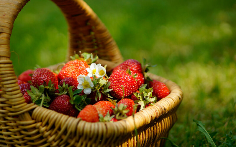 Strawberries in Basket — Red, Serene, Afternoon