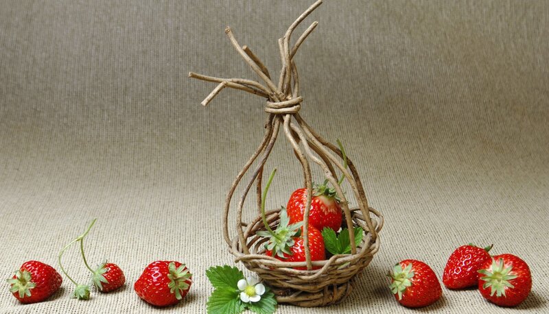 Strawberries in Basket — Red