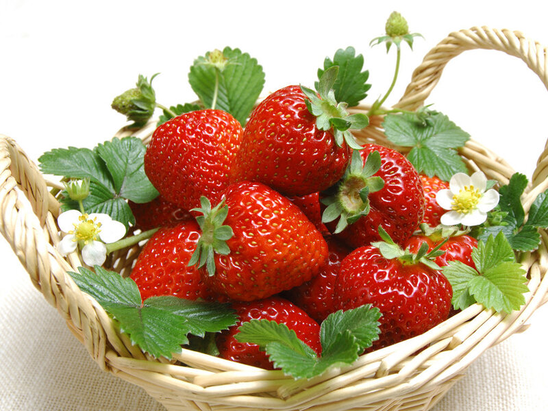 Strawberries in Basket
