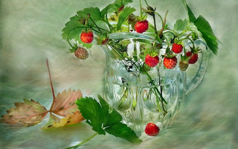 Strawberries in Glass Pitcher — Green, Serene