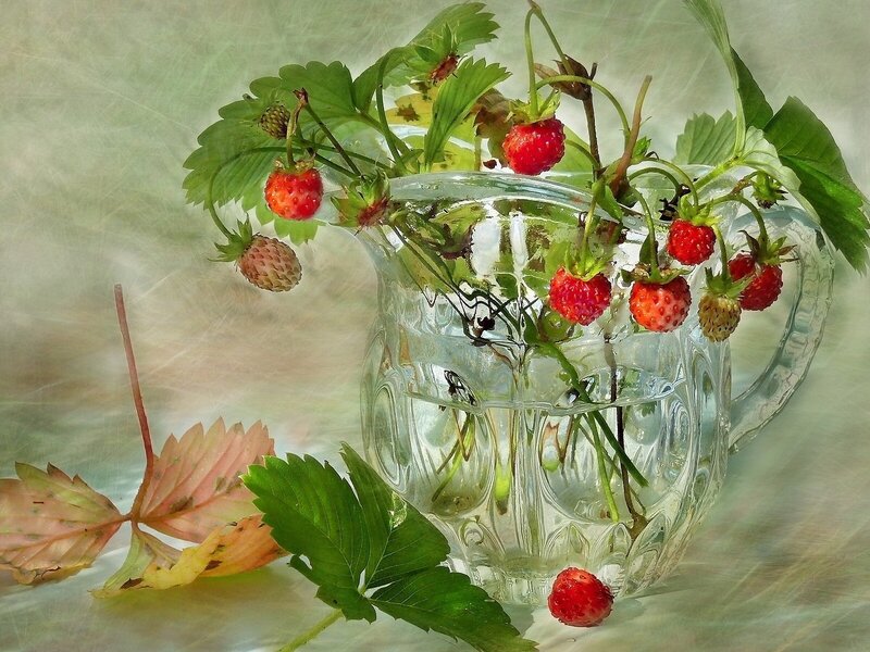 Strawberries in Glass Pitcher — Green