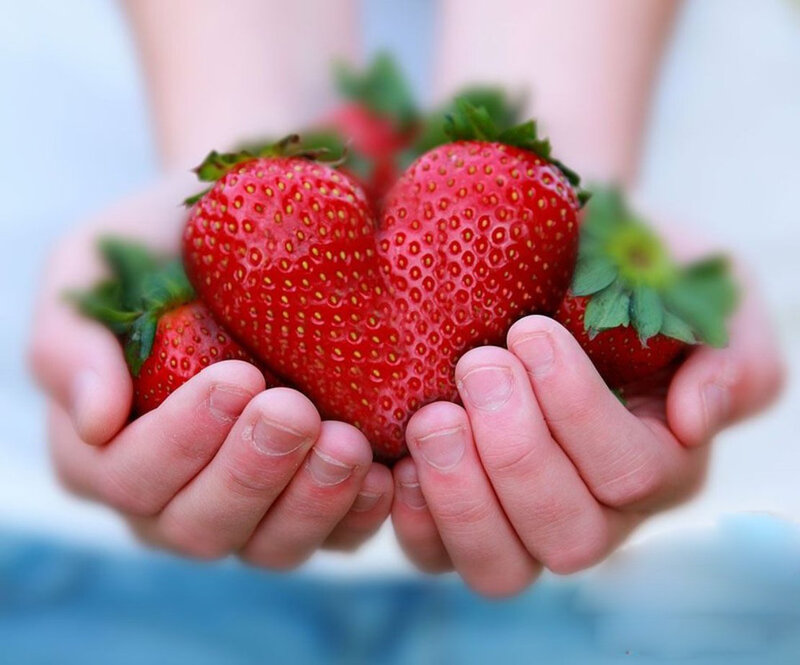 Strawberries in Hands