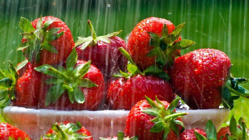 Strawberries in Rain