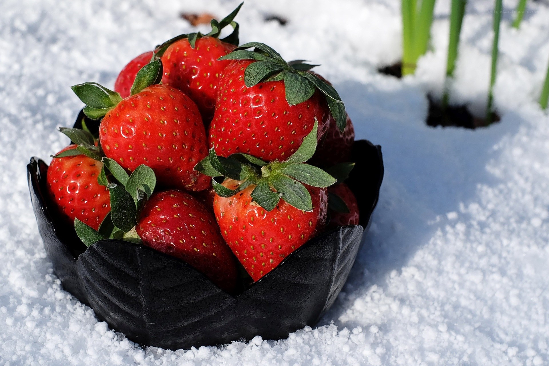 Strawberries in snow