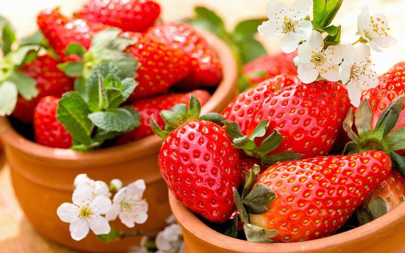 Strawberries in Terracotta Bowls