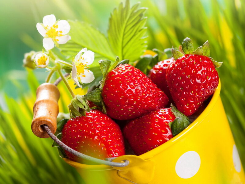 Strawberries in Yellow Bucket