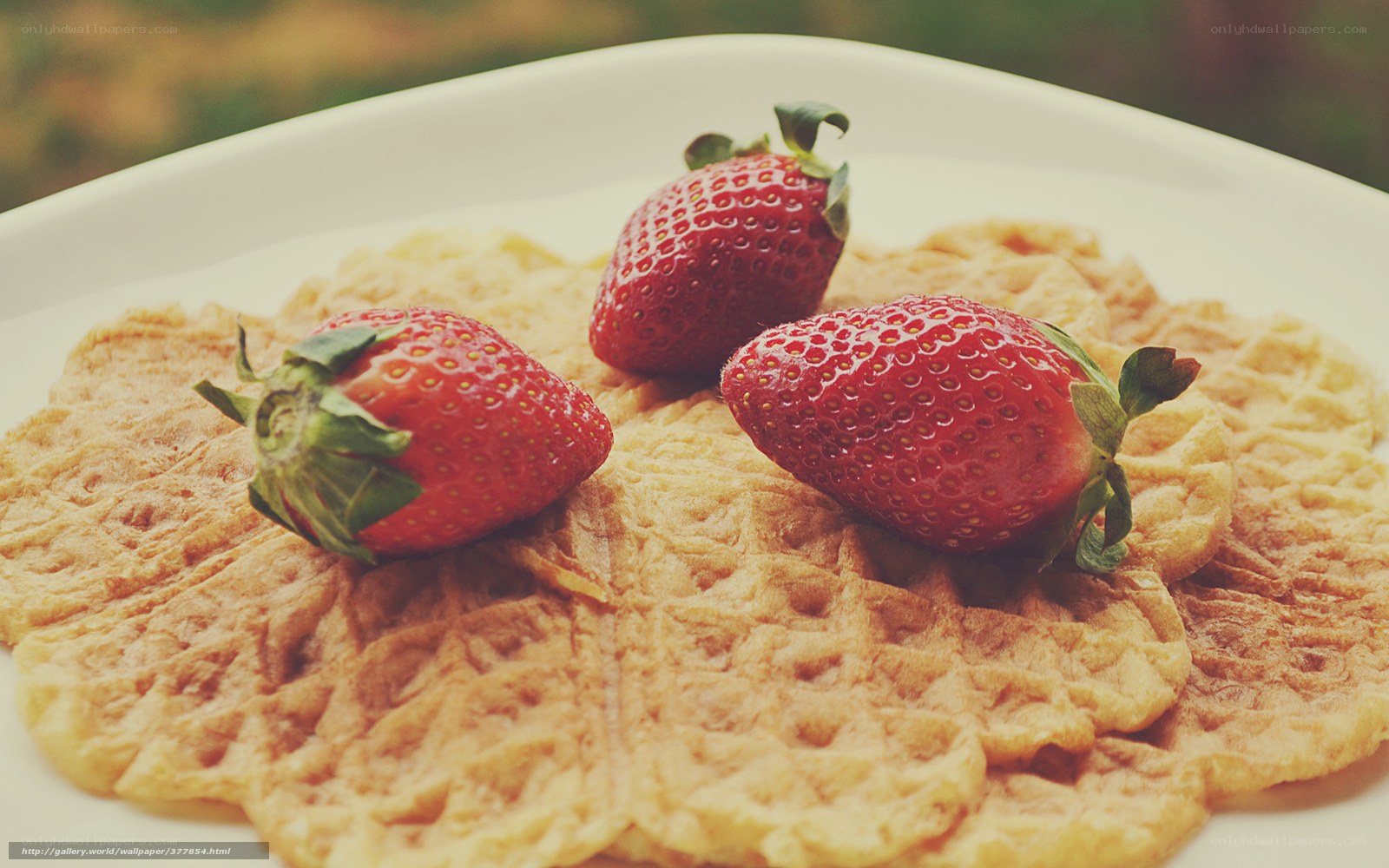 strawberries on waffle
