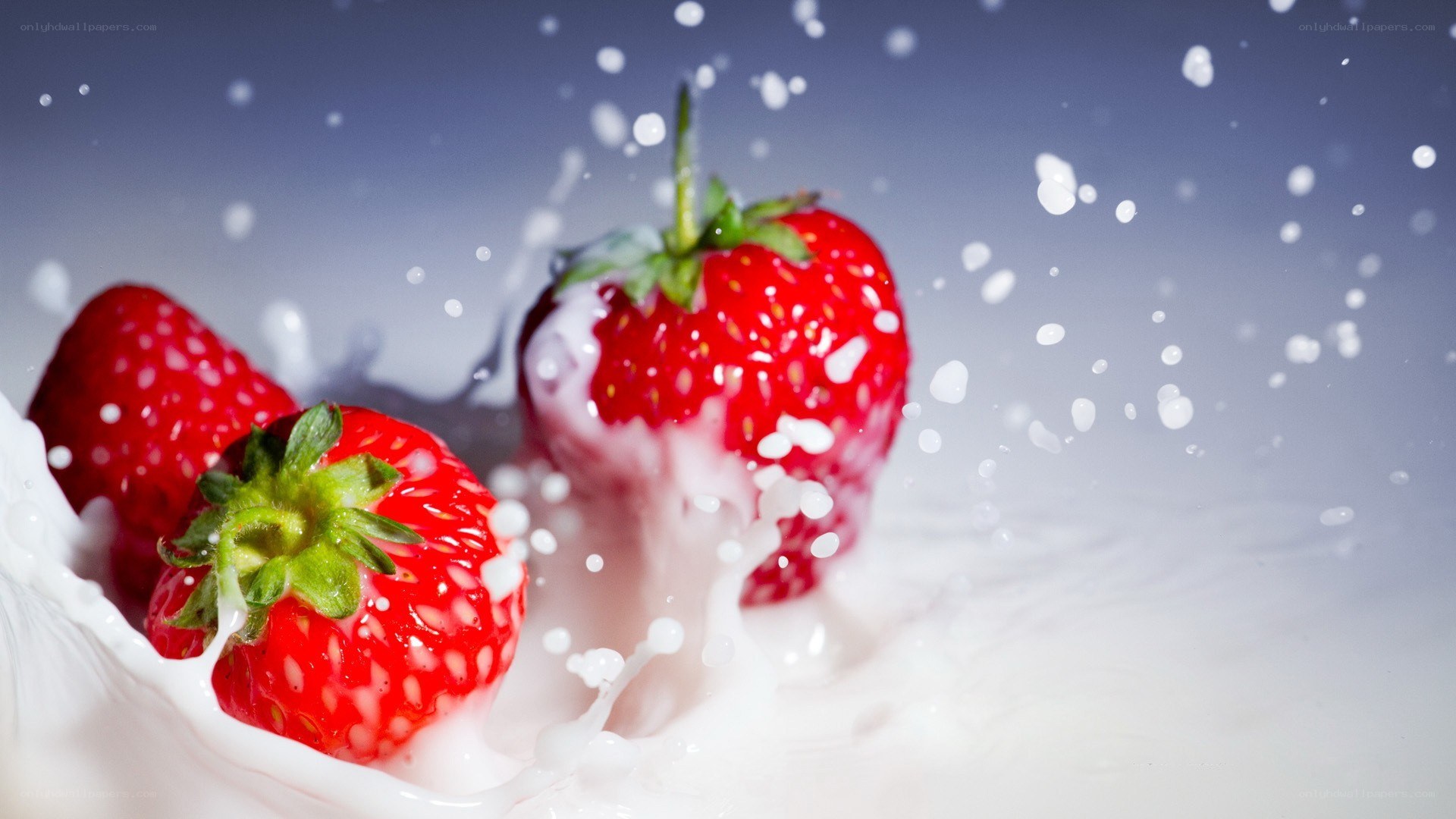 strawberries splashing in milk