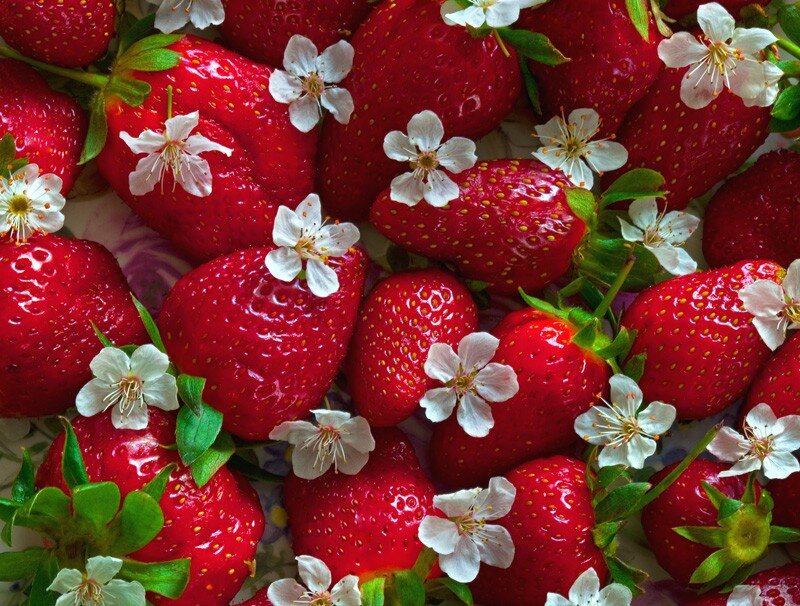 strawberries with blossoms