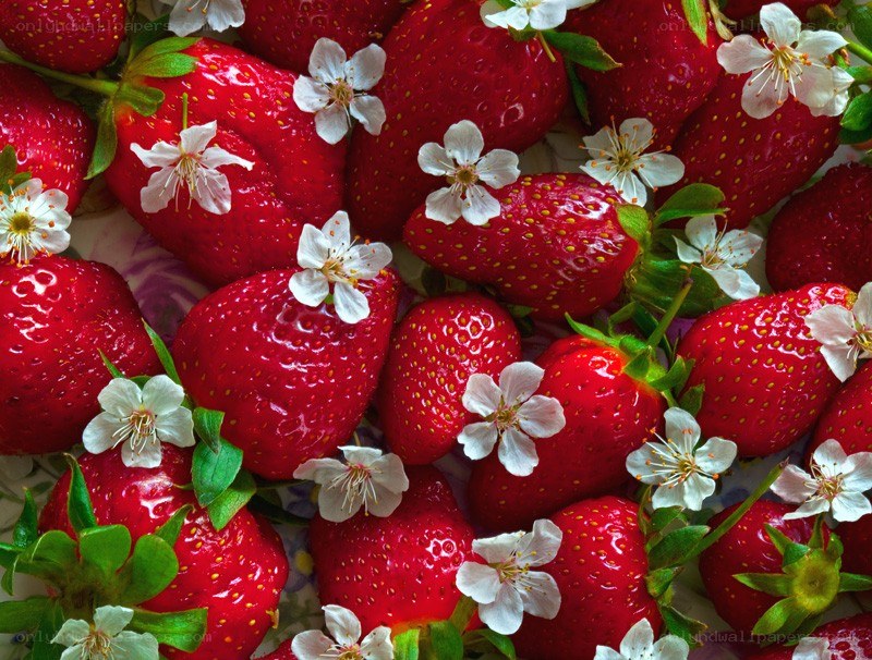 strawberries with blossoms
