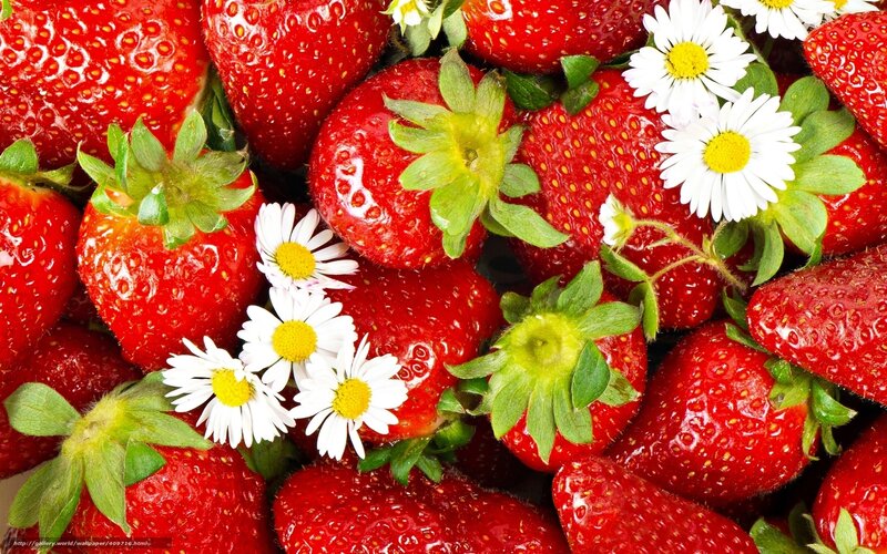Strawberries with Daisies — Red, Fresh, Summer