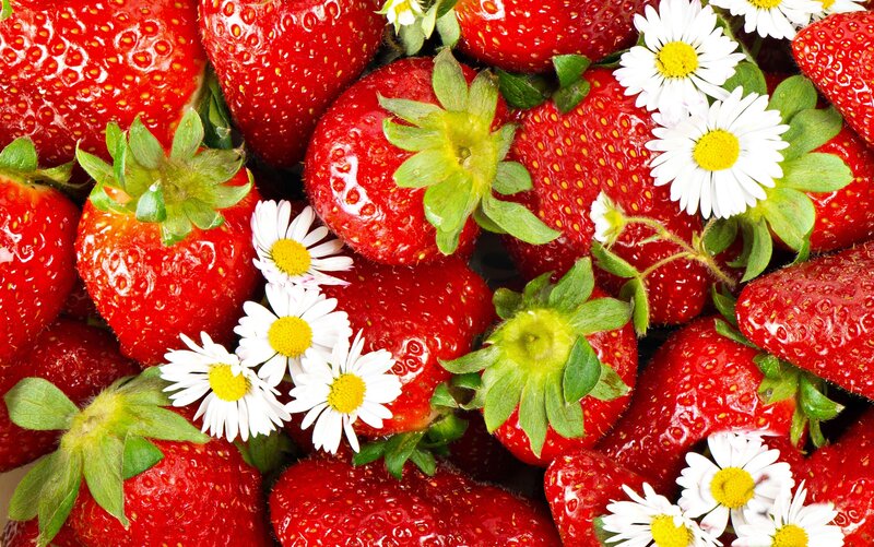 Strawberries with Daisies — Red, Fresh