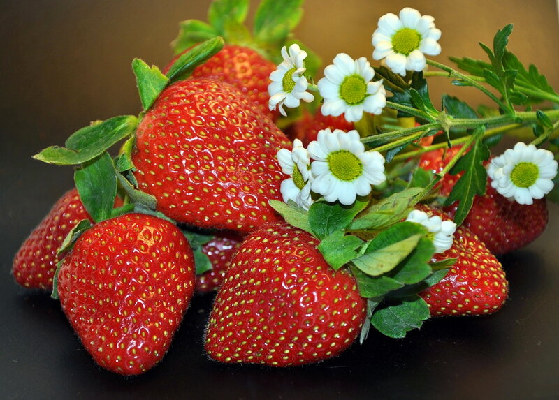 Strawberries with Daisies — Red