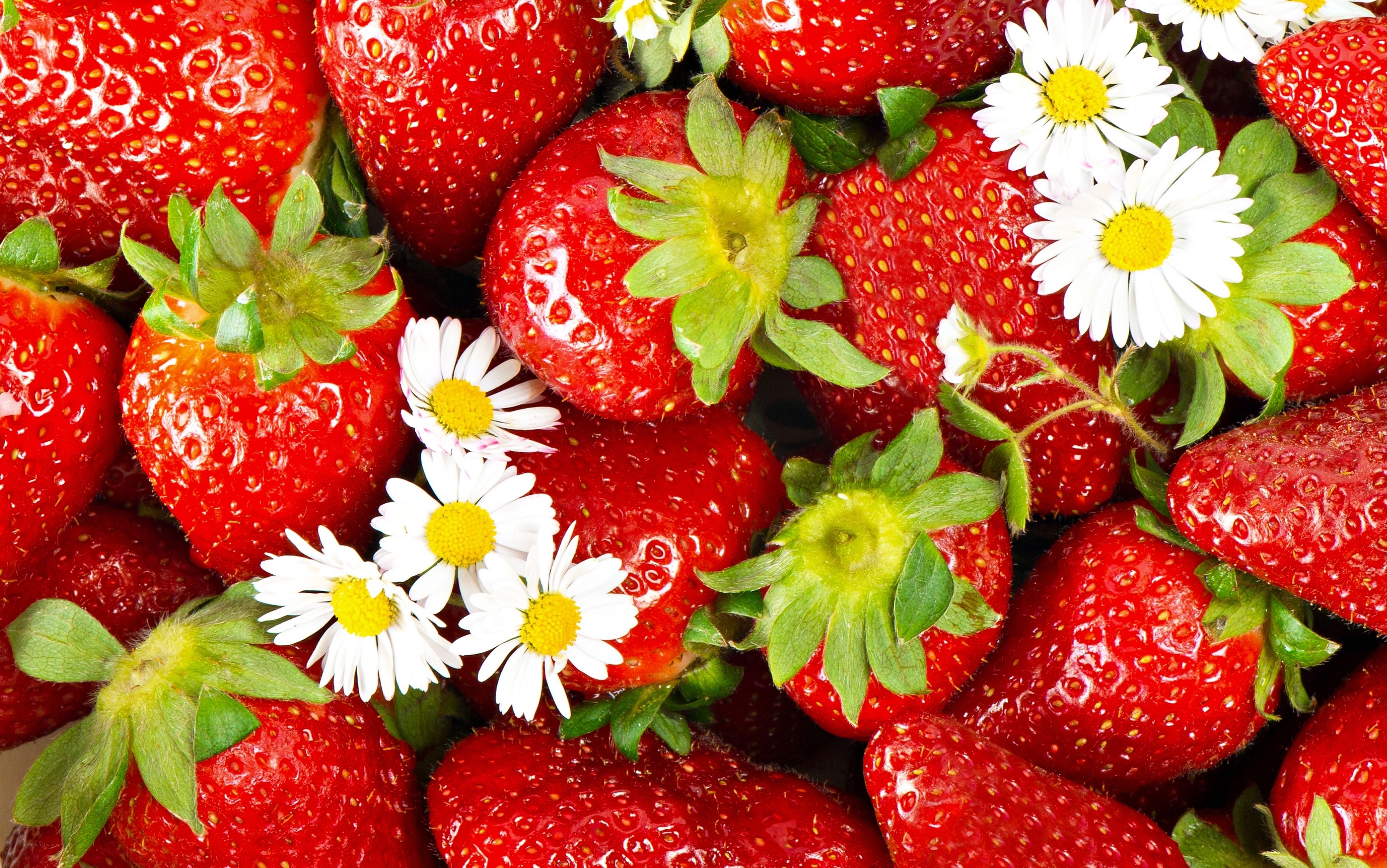 strawberries with daisies