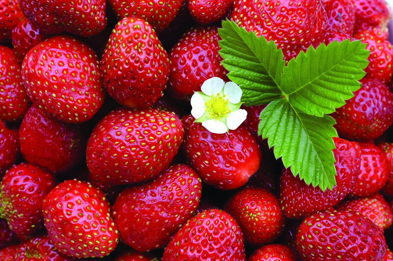 Strawberries with Flower