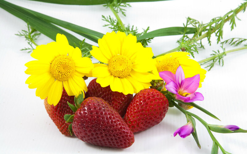 Strawberries with Flowers — Red, Fresh