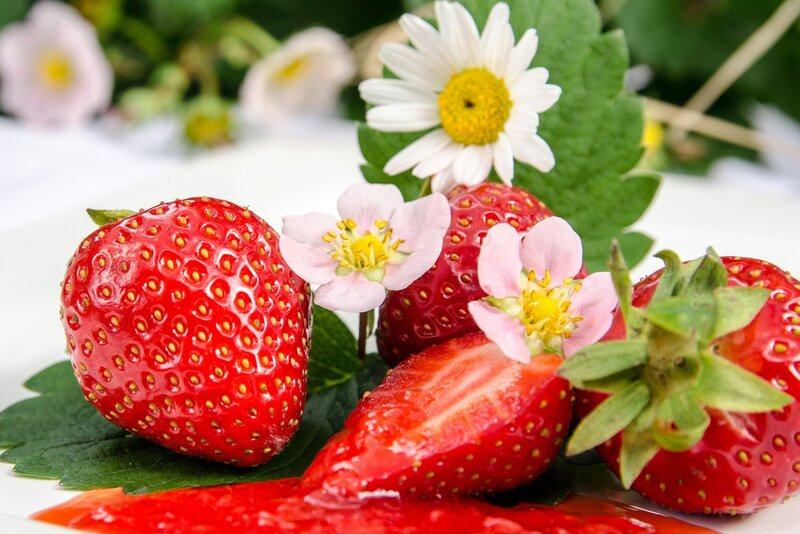 Strawberries with Flowers — Red