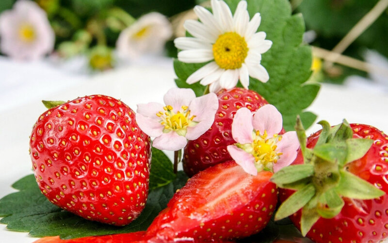 Strawberries with Flowers