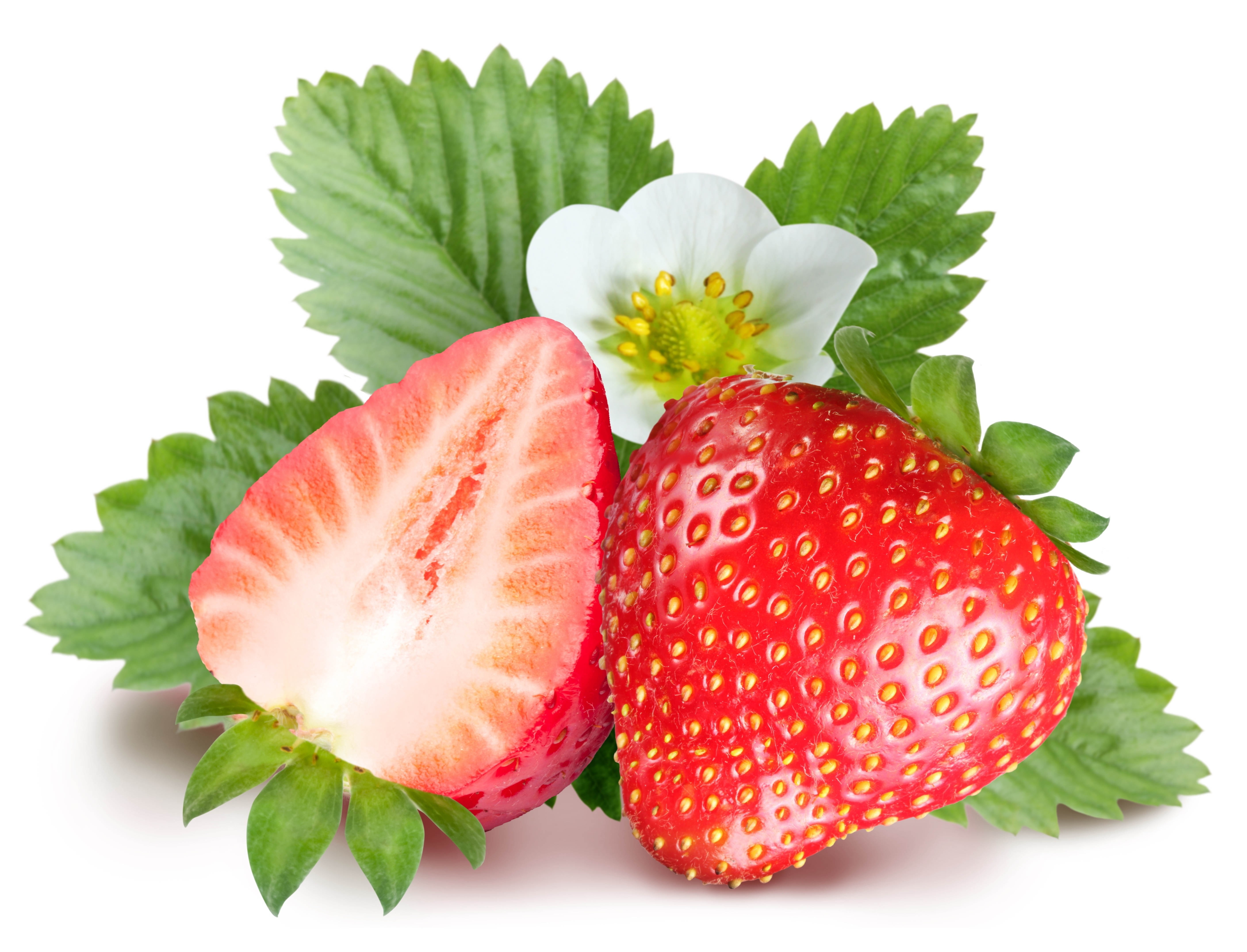 strawberries with leaves and flower