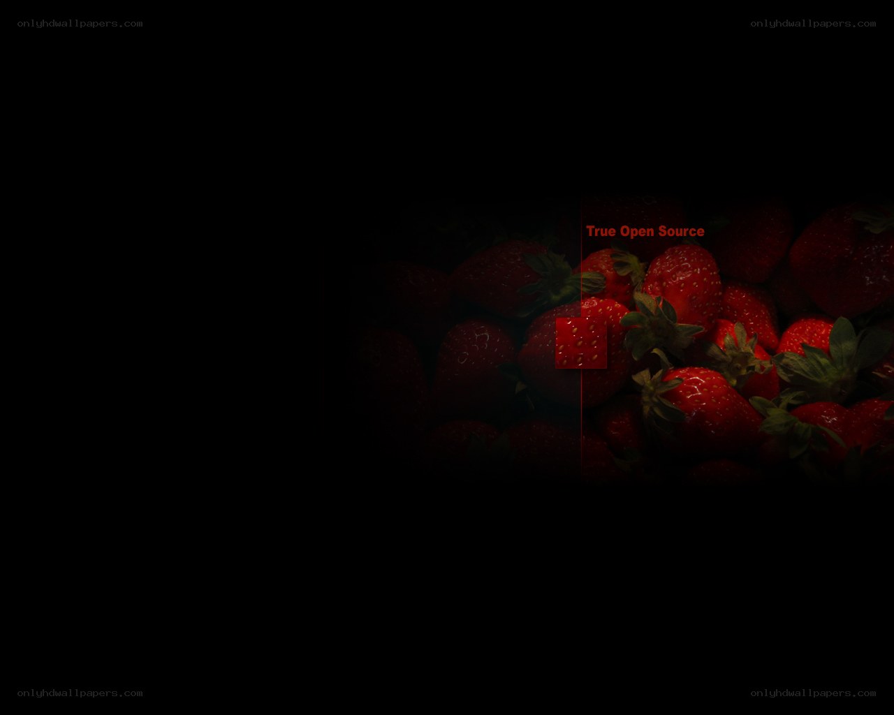 strawberries with text overlay