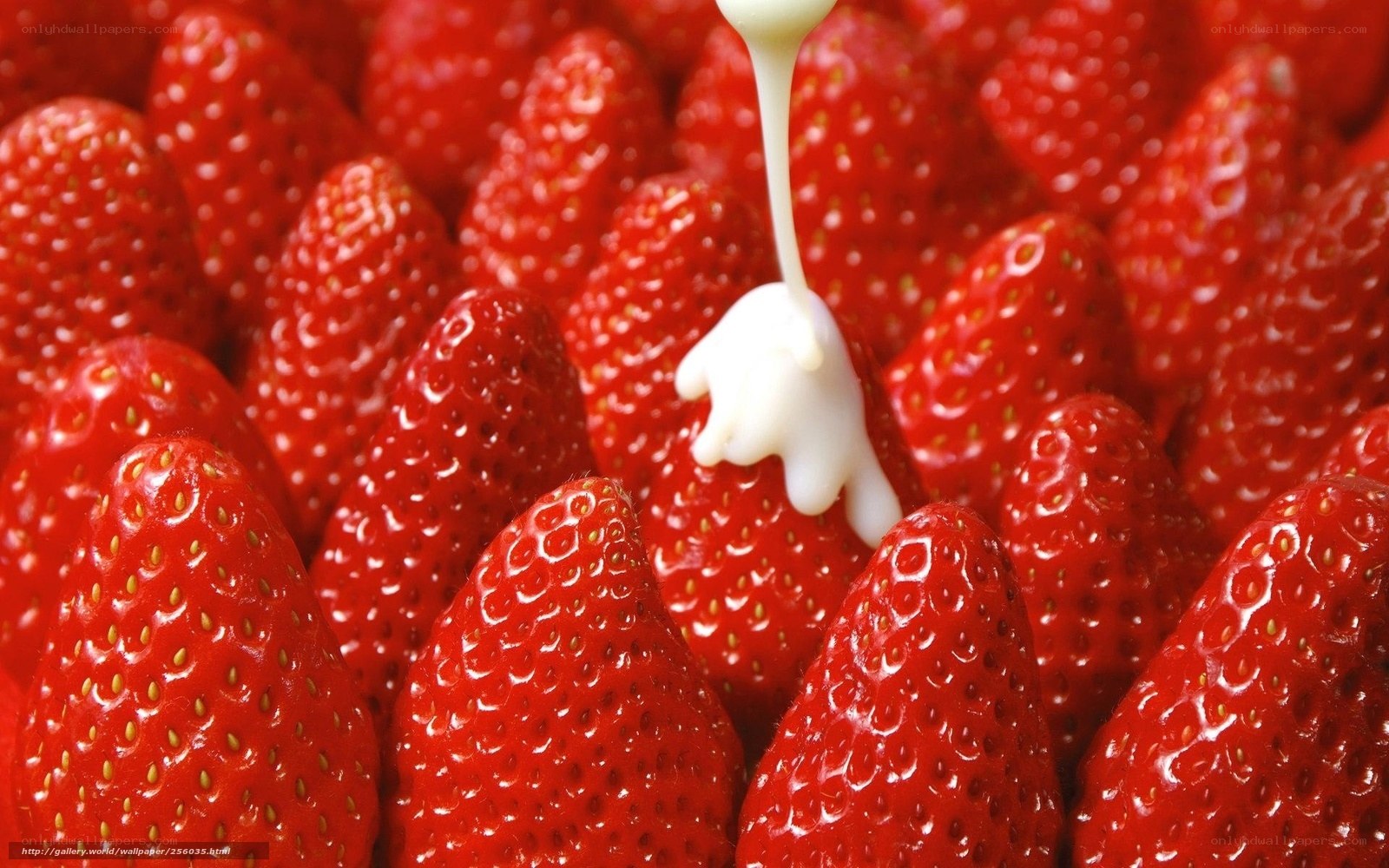 strawberries with white sauce